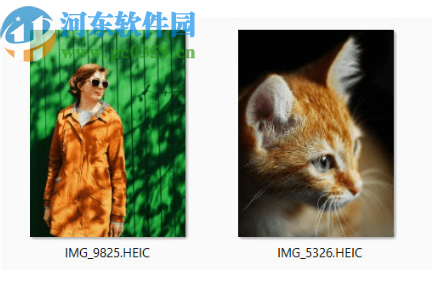 CopyTrans HEIC(HEIC图像查看工具)