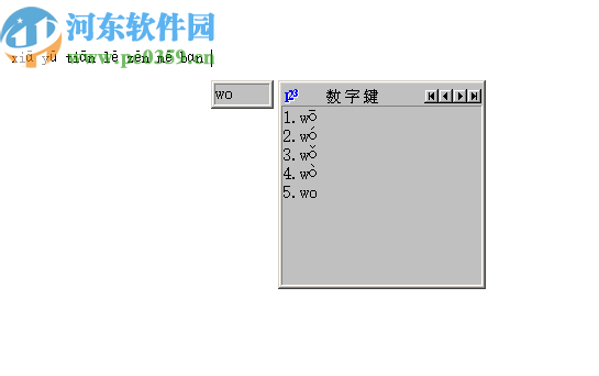 拼音声调输入法