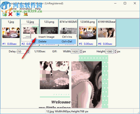 Vibosoft Animated GIF Maker(GIF制作软件)