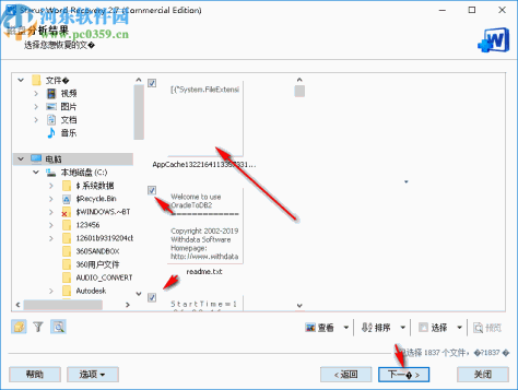 Starus Word Recovery(文档恢复软件)