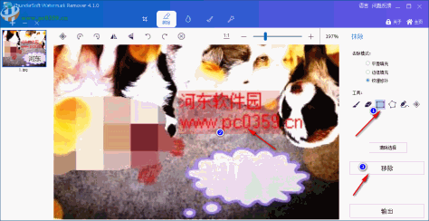 ThunderSoft Watermark Remover(图片水印删除软件)