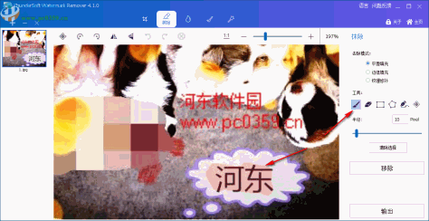 ThunderSoft Watermark Remover(图片水印删除软件)