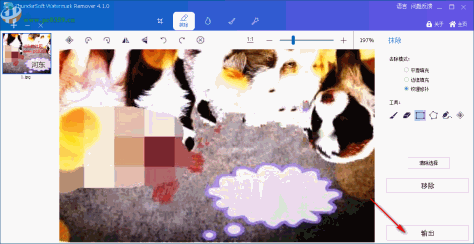 ThunderSoft Watermark Remover(图片水印删除软件)