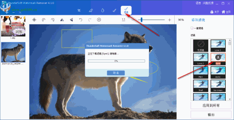 ThunderSoft Watermark Remover(图片水印删除软件)