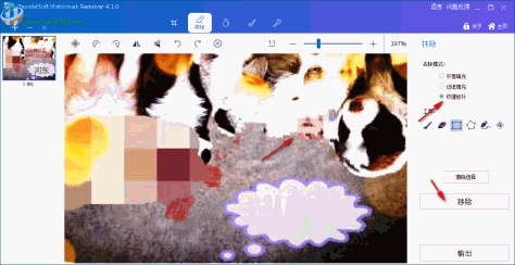 ThunderSoft Watermark Remover(图片水印删除软件)