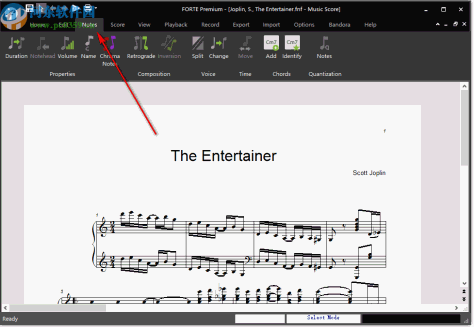 FORTE 11 Premium(乐谱制作软件)