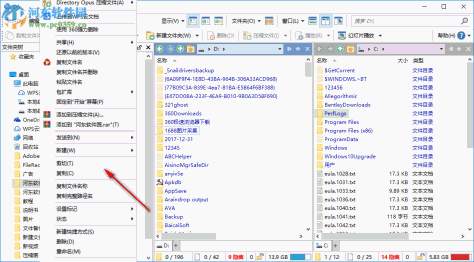 Directory Opus Pro(文件管理器) 12.17.0.0 免费中文版