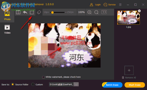 EasePaint Watermark Remover(视频一键去除水印)