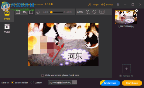 EasePaint Watermark Remover(视频一键去除水印)