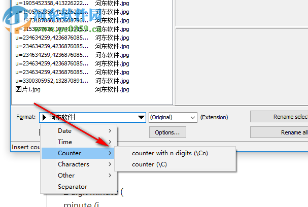 Rename JPEG Pictures(图片批量重命名工具) 1.0.3 免费版