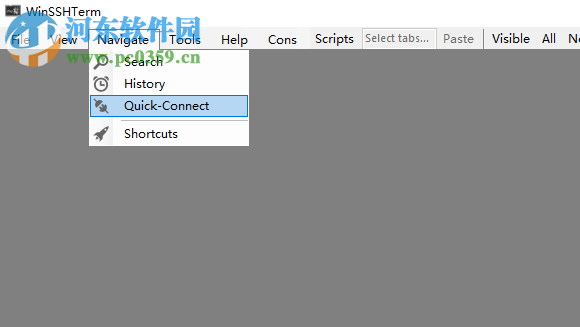 WinSSHTerm(免费SSH客户端工具) 2.6.3 单文件便携版