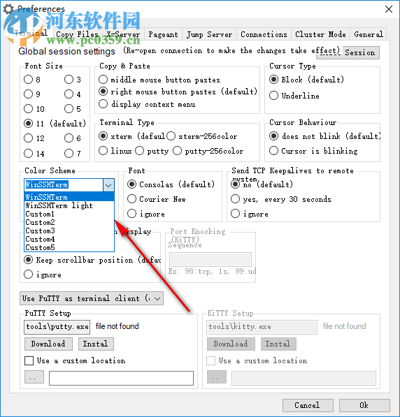 WinSSHTerm(免费SSH客户端工具) 2.6.3 单文件便携版