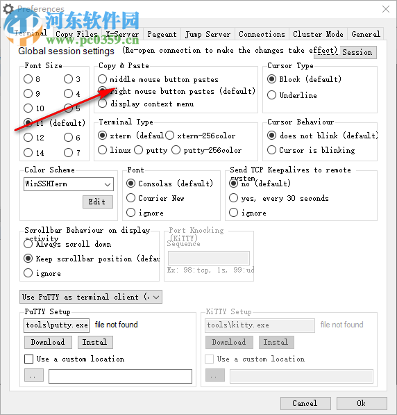 WinSSHTerm(免费SSH客户端工具) 2.6.3 单文件便携版