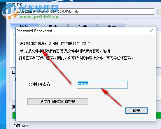 Access Password Recovery(MDB密码破解) 5.0 绿色版