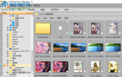 acdsee12 完美破解版