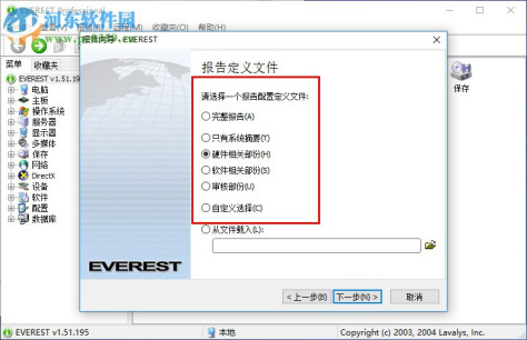 everest professional下载(硬件检测软件) 1.51.195 汉化版