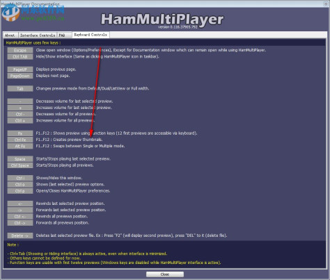 HamMultiPlayer多屏显示软件 1.0 绿色免费版