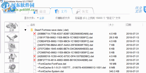 R-Undelete下载(数据恢复软件) 6.5 中文破解版