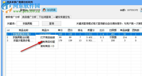 拼多多推广数据分析软件 1.0 官方版