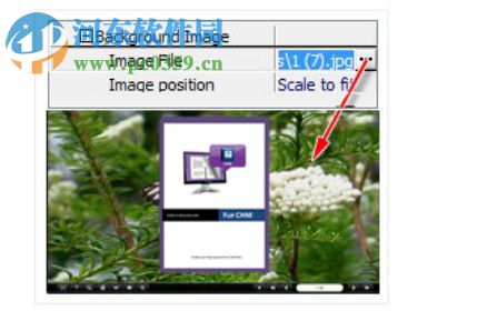 Boxoft CHM to Flipbook(CHM转电子翻书工具) 1.0 官方版