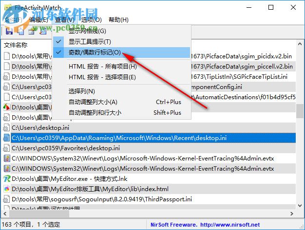 FileActivityWatch(系统任务管理器) 1.06 中文绿色版