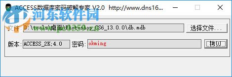 Access数据库密码破解专家 2.0 官方版