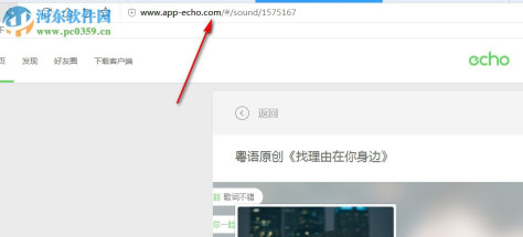 EchoTool(Echo回音下载工具) 4.22 绿色版