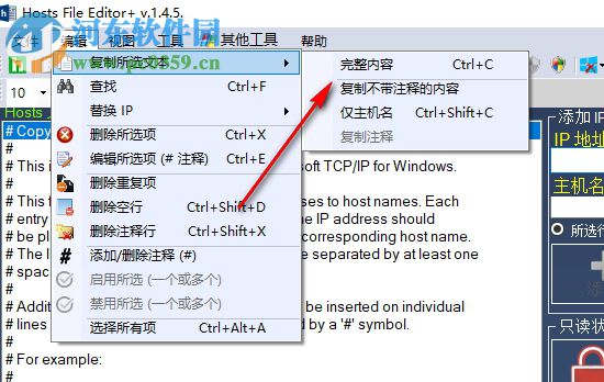 主机文件编辑器(Hosts File Editor+)