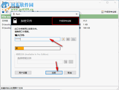 Fort Home Edition(文件密码管理软件) 5.0.0.0 中文版