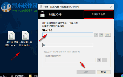 Fort Home Edition(文件密码管理软件) 5.0.0.0 中文版