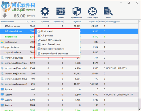 Net-Peeker(网络监视软件) 4.0 破解版