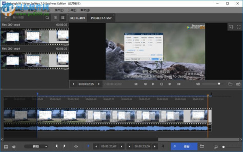 SolveigMM Video Splitter Business Edition(视频分割合并工具) 7.0 中文版