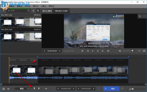 SolveigMM Video Splitter Business Edition(视频分割合并工具) 7.0 中文版