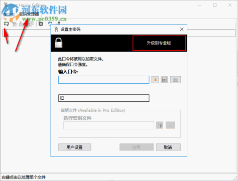 Fort Professional Edition(文件加密器) 4.1.0.0 绿色中文版