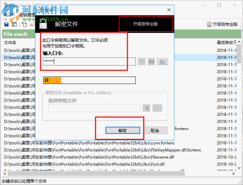 Fort Professional Edition(文件加密器) 4.1.0.0 绿色中文版