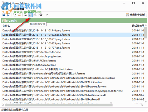 Fort Professional Edition(文件加密器) 4.1.0.0 绿色中文版