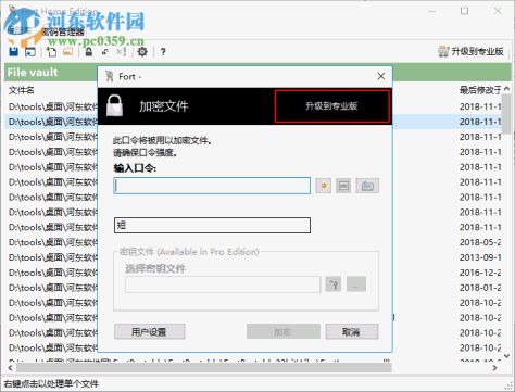 Fort Professional Edition(文件加密器) 4.1.0.0 绿色中文版