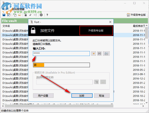 Fort Professional Edition(文件加密器) 4.1.0.0 绿色中文版