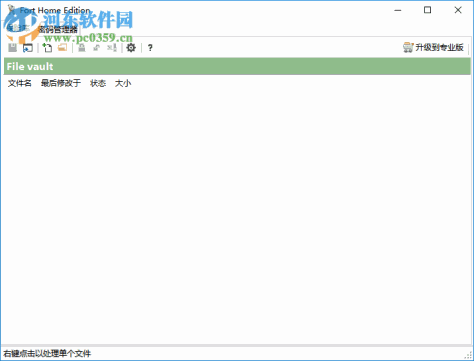 Fort Professional Edition(文件加密器) 4.1.0.0 绿色中文版