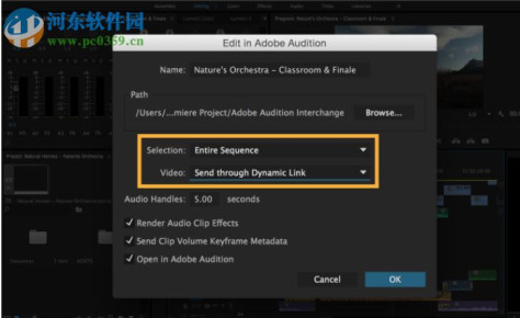 Adobe Media Encoder CC 2019 13.0.1.12 破解版