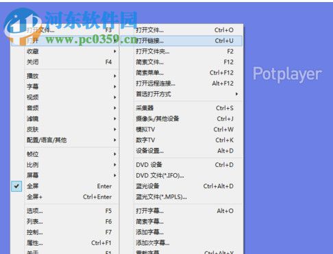 PotPlayer Portable (多媒体影音播放软件)