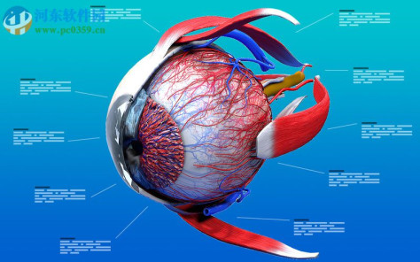 Eye Anatomy 3D for mac(眼睛3D解剖模拟软件) 1.0 官方版