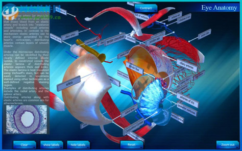 Eye Anatomy 3D for mac(眼睛3D解剖模拟软件) 1.0 官方版