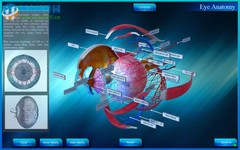 Eye Anatomy 3D for mac(眼睛3D解剖模拟软件) 1.0 官方版