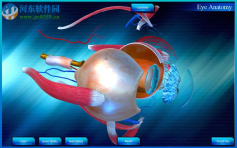 Eye Anatomy 3D for mac(眼睛3D解剖模拟软件) 1.0 官方版