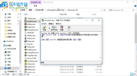 Passware Kit 10.0中文版下载 绿色免费版