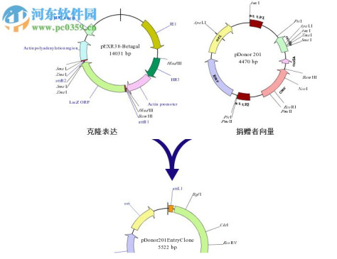 SimVector(图像制作软件) 4.6.0.0 免费版