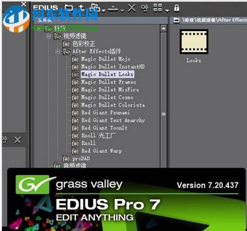 Edius Looks插件 7.5 最新版
