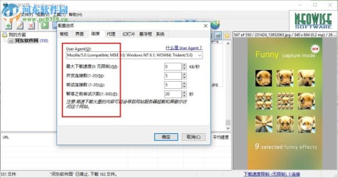 neodownloader下载(网页图片批量下载工具) 2.9.5.191 绿色版