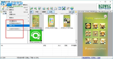 neodownloader下载(网页图片批量下载工具) 2.9.5.191 绿色版